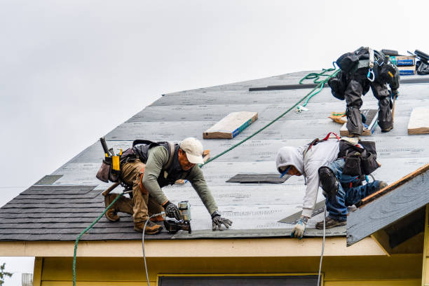 Professional Storm Damage Roof Repair technician working in Mc Donald, TN